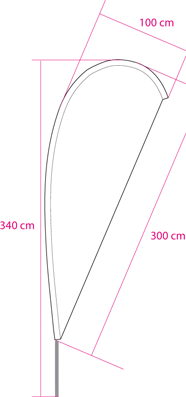 wing mediana